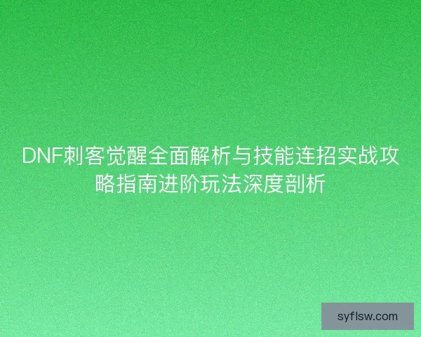 DNF刺客觉醒全面解析与技能连招实战攻略指南进阶玩法深度剖析